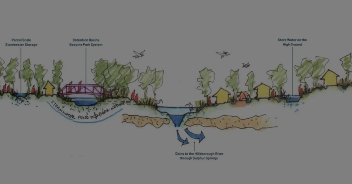 Making Tampa Bay More Resilient To Sea Level Rise And Flooding: New ...