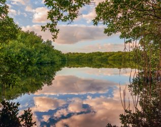 Coot Bay Pond in Everglades National Park. Florida. USA