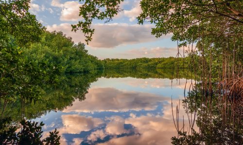 Coot Bay Pond in Everglades National Park. Florida. USA