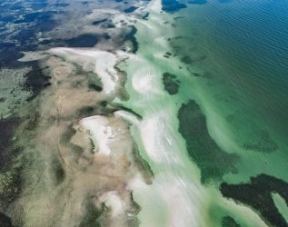 Robinsons Preserve Coastline At Lowtide