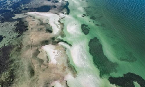 Robinsons Preserve Coastline At Lowtide