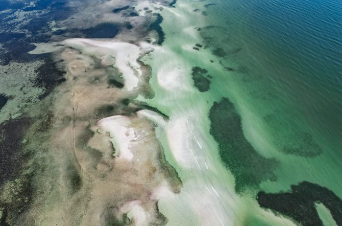 Robinsons Preserve Coastline At Lowtide
