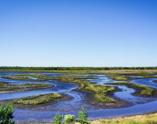 The Tampa Bay Estuary Program CnUGhhVWK4I Unsplash