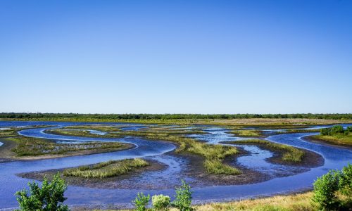 The Tampa Bay Estuary Program CnUGhhVWK4I Unsplash