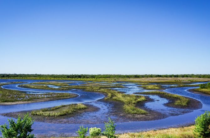 The Tampa Bay Estuary Program CnUGhhVWK4I Unsplash